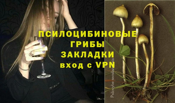 mdpv Алзамай